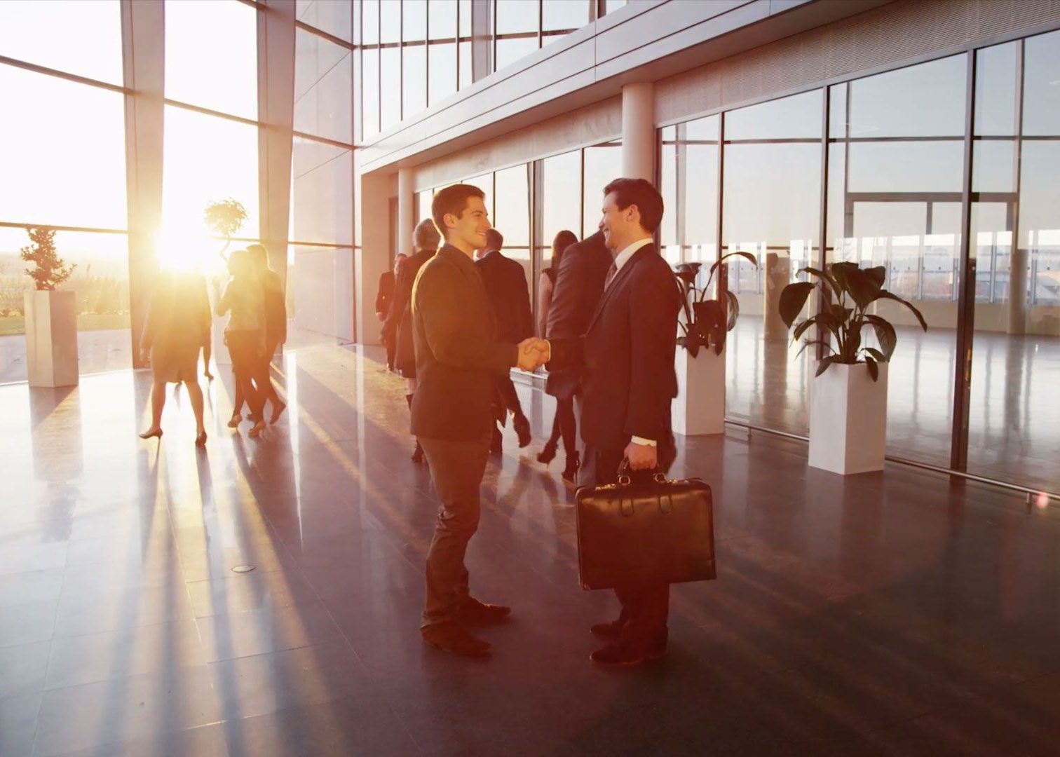 video_law_home_preview